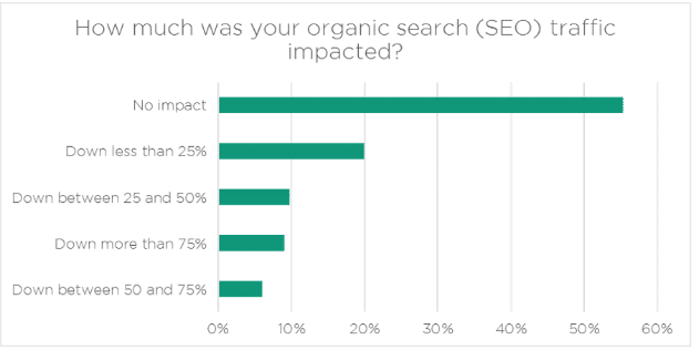 wordpress seo for a brand new website