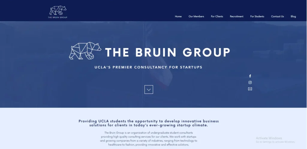 Bruin Group Consulting