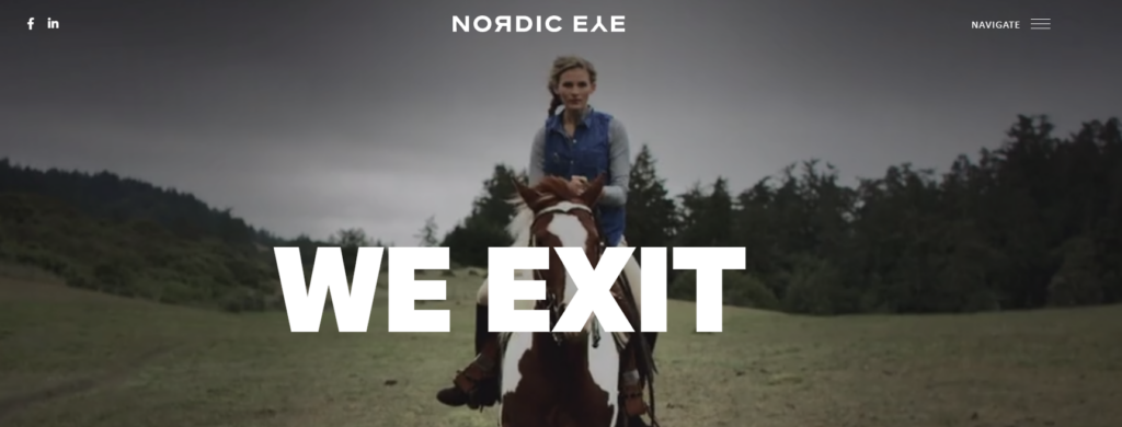 best consulting website - Nordic Eye