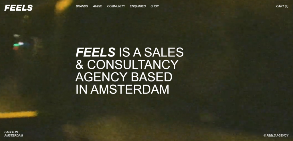 feels agency - consultant website