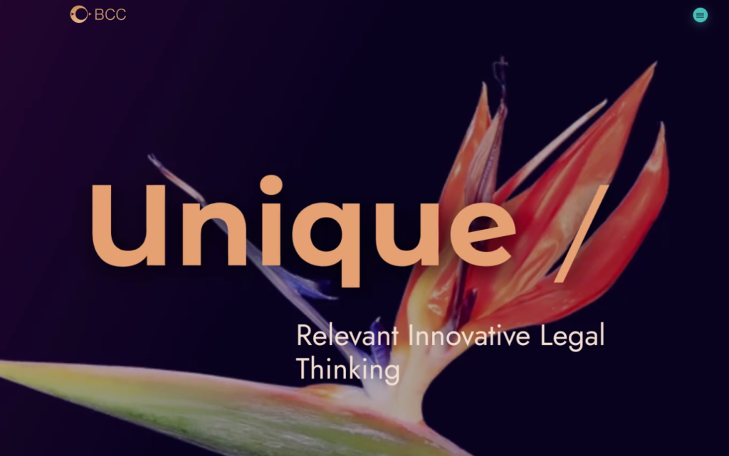 bkc - consultant website
