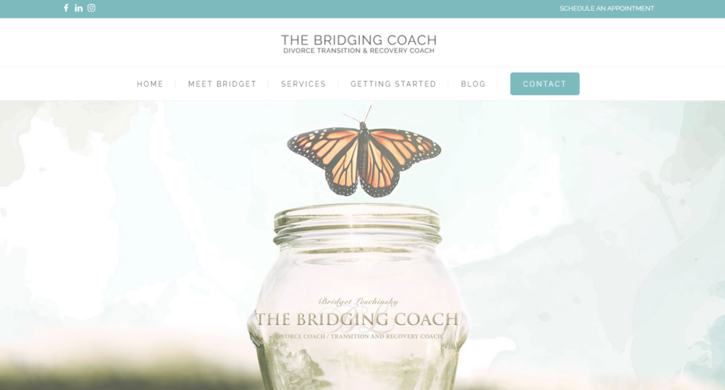 3. The Bridging Coach