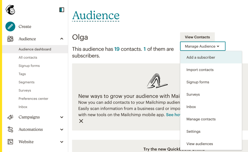 3. Create a new audience: Within the Audience dashboard, click on the "Create Audience" button.