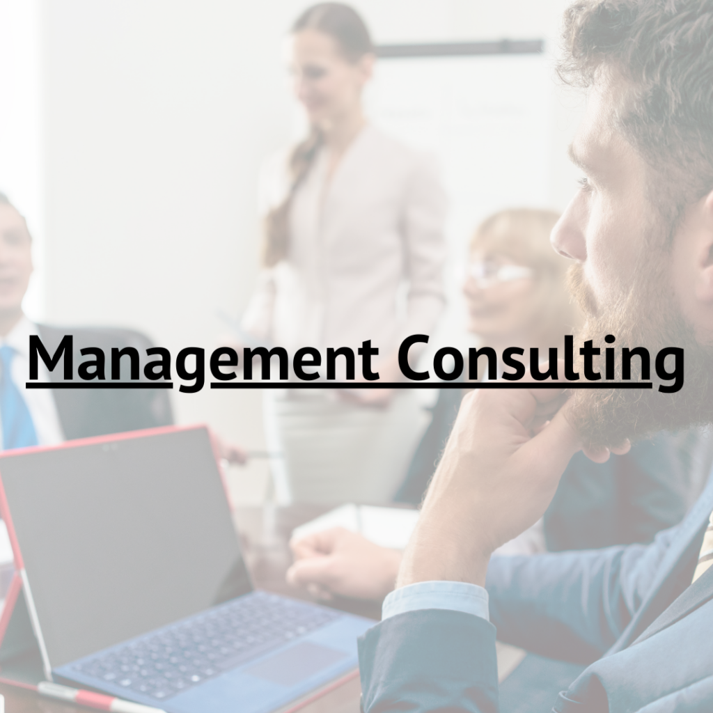 management consulting
