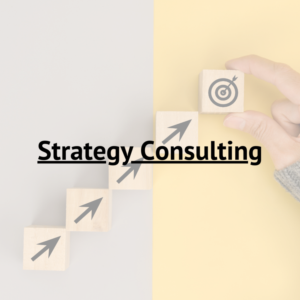 strategy consultant