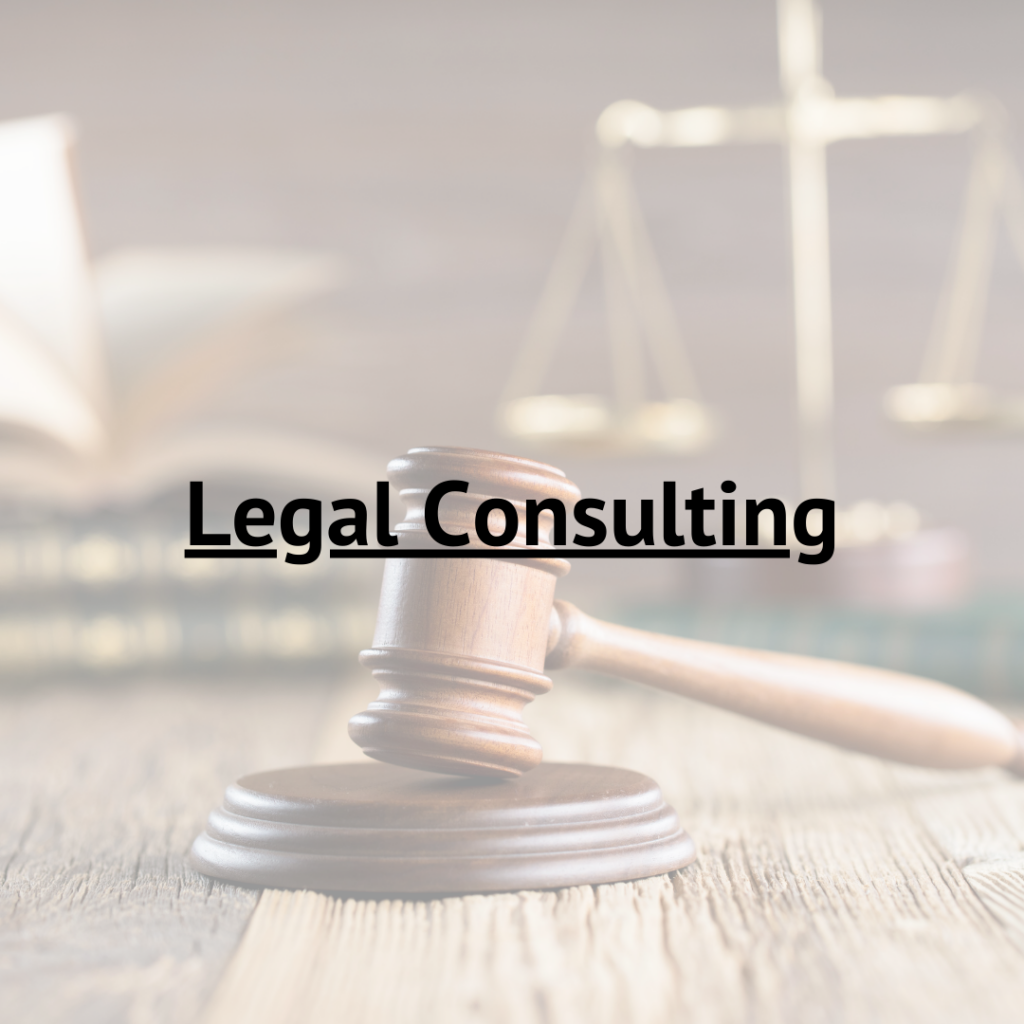 legal consulting image