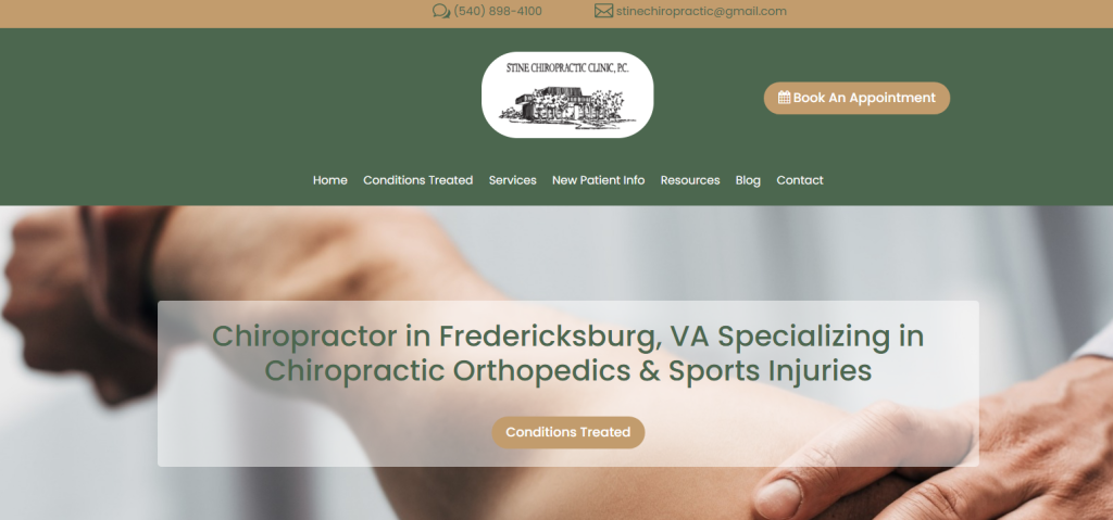 2. Stine Chiropractic Clinic Chiropractors Websites