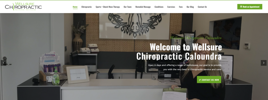 6. Wellsure Chiropractic Chiropractors Websites