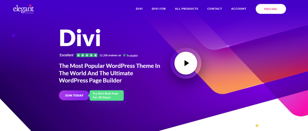 Divi - WordPress Portfolio Themes