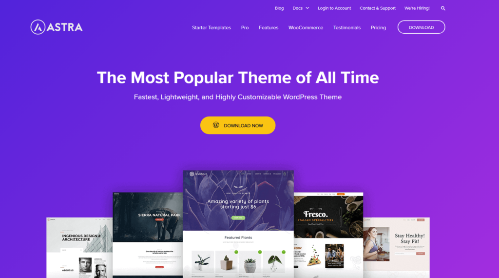 Astra wordpress theme