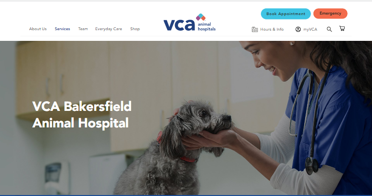 Bakersfield - Veterinary Website