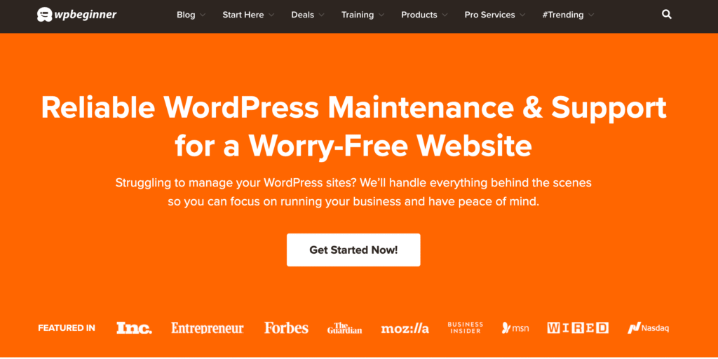 website maintenance service