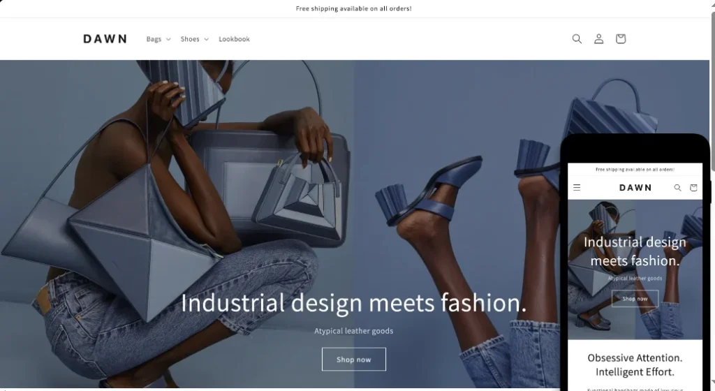 Dawn Shopify theme preview with minimal design