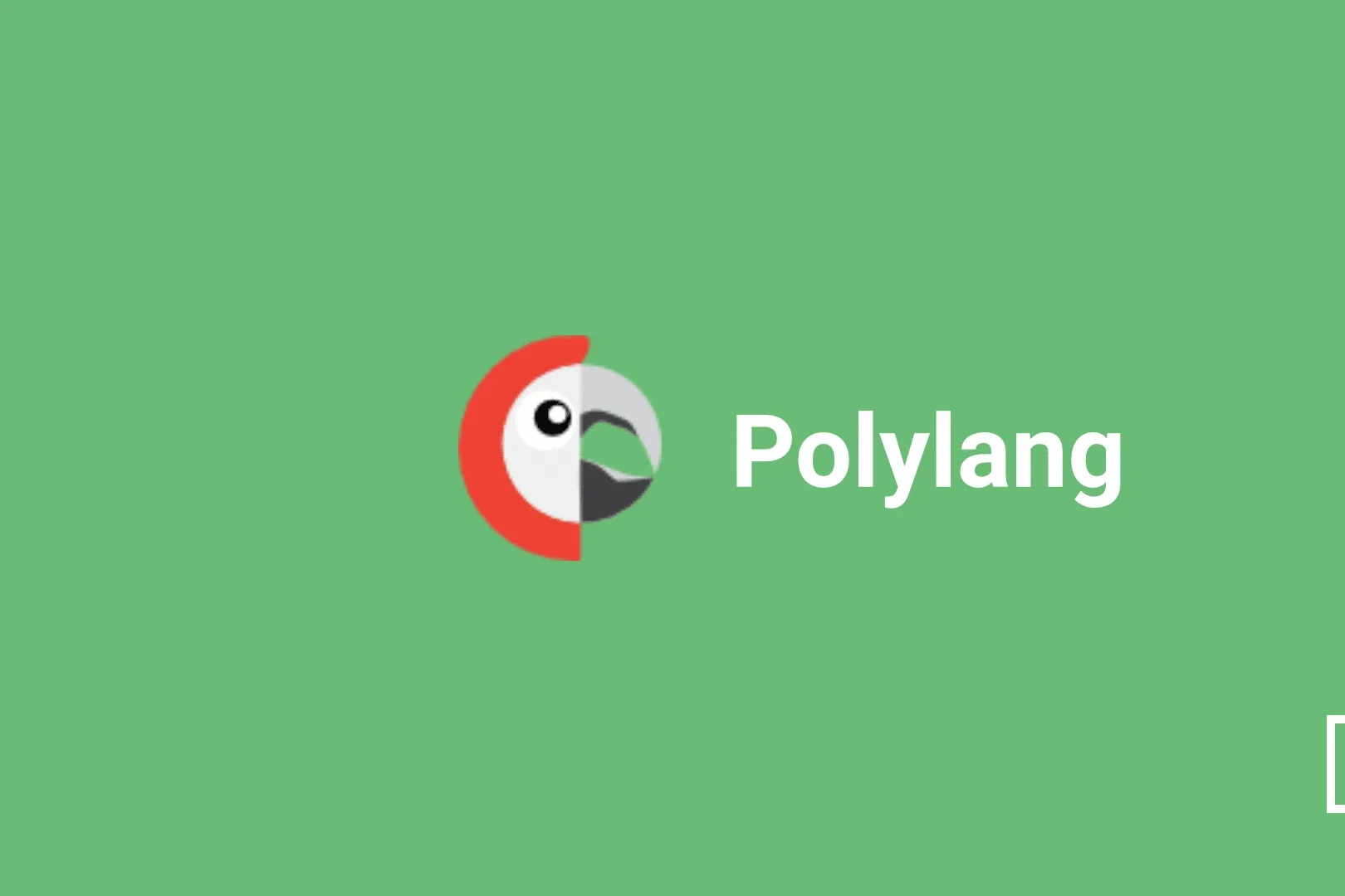PolyLang Woocommerce localization plugin