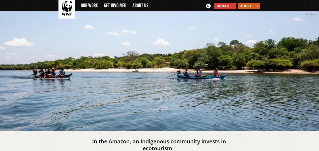 WWF website design for nonprofit donation