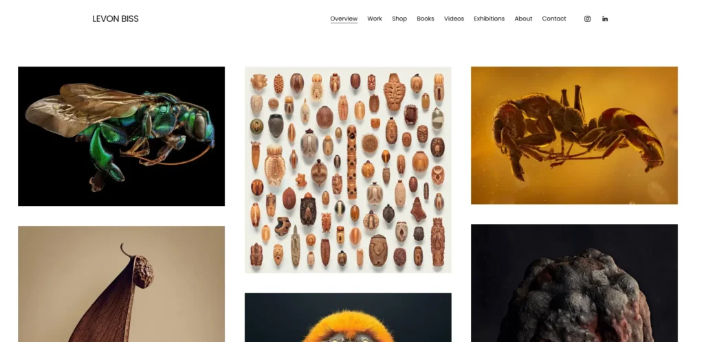 Levon Biss - nature photography website design